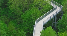Skywalk Allgäu nature discovery trail at Center Parcs Park Allgäu