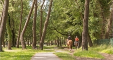 Center Parcs Excursion: Horseback riding at Center Parcs Park Allgäu