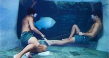 Cenote Pool at Center Parcs Le Bois aux Daims