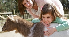 The Children's Farm at Center Parcs Les Hauts de Bruyères