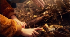 Digital Nature Discovery at Center Parcs De Eemhof