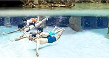Aqua Mundo activities at Center Parcs Erperheide