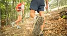 Region activities at Center Parcs Erperheide