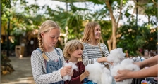 Kids Workshop: Make your own Stuffed Animal at Center Parcs Park De Haan