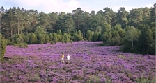 Region Facilities at Center Parcs Limburgse Peel