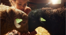 Animal care at Center Parcs Het Meerdal