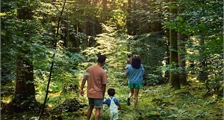 Digital Nature Discovery at Center Parcs Port Zélande