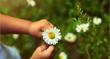 Digital Spring Celebrations Nature Discovery at Center Parcs Les Trois Forêts