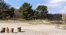 Surroundings activities at Summio Parcs De Bloemert