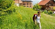 Sports and games activities at Landal Chalet Matin