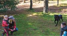 With your dog Facilities at Darwin Forest