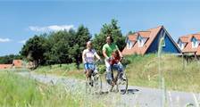 Hiking and Cycling Facilities at Landal Dwergter Sand