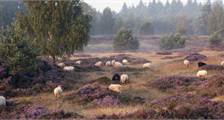 Surroundings activities at Landal Hunerwold State
