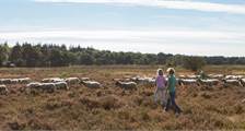Hiking and cycling activities at Landal Heideheuvel