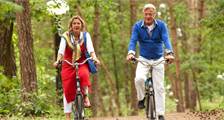 Surroundings activities at Landal Heideheuvel