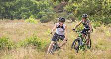 Hiking and cycling activities at Landal Het Land van Bartje