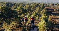 Hiking and cycling Facilities at Landal Piperdam