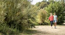Hiking and cycling activities at Landal Stroombroek