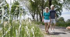 Hiking and cycling activities at Landal Twenhaarsveld