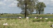 Surroundings activities at Landal Het Vennenbos