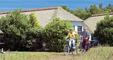 Hiking and cycling activities at Roompot De Veluwse Hoevegaerde