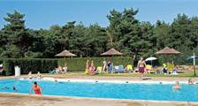 Swimming activities at Roompot De Veluwse Hoevegaerde