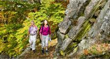 Hiking and cycling activities at Landal Wirfttal
