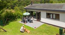 With your dog activities at Landal Wirfttal