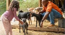 The Children's Farm at Sunparks Kempense Meren